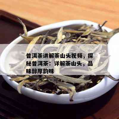 普洱茶讲解茶山头视频，探秘普洱茶：详解茶山头，品味醇厚韵味