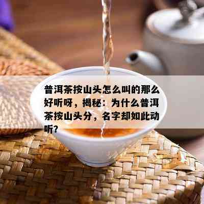 普洱茶按山头怎么叫的那么好听呀，揭秘：为什么普洱茶按山头分，名字却如此动听？