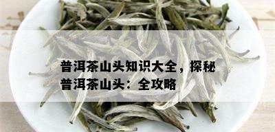 普洱茶山头知识大全，探秘普洱茶山头：全攻略