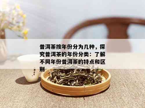 普洱茶按年份分为几种，探究普洱茶的年份分类：了解不同年份普洱茶的特点和区别