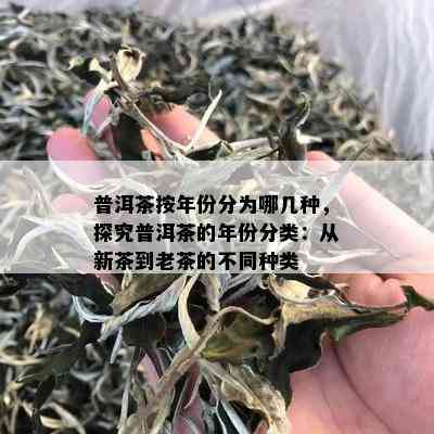 普洱茶按年份分为哪几种，探究普洱茶的年份分类：从新茶到老茶的不同种类