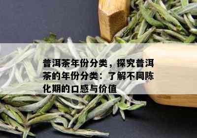 普洱茶年份分类，探究普洱茶的年份分类：了解不同陈化期的口感与价值