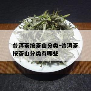 普洱茶按茶山分类-普洱茶按茶山分类有哪些