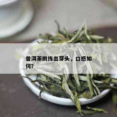 普洱茶挑拣出芽头，口感如何？