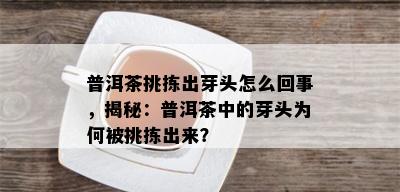 普洱茶挑拣出芽头怎么回事，揭秘：普洱茶中的芽头为何被挑拣出来？