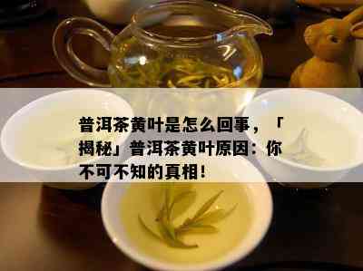 普洱茶黄叶是怎么回事，「揭秘」普洱茶黄叶原因：你不可不知的真相！