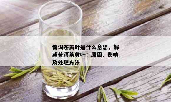 普洱茶黄叶是什么意思，解惑普洱茶黄叶：原因、影响及处理方法