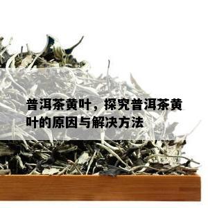 普洱茶黄叶，探究普洱茶黄叶的原因与解决方法