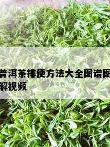 普洱茶排便方法大全图谱图解视频