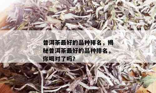 普洱茶更好的品种排名，揭秘普洱茶更好的品种排名，你喝对了吗？