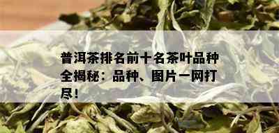 普洱茶排名前十名茶叶品种全揭秘：品种、图片一网打尽！