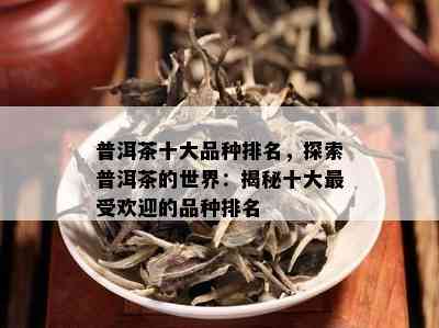 普洱茶十大品种排名，探索普洱茶的世界：揭秘十大更受欢迎的品种排名