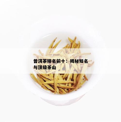 普洱茶排名前十：揭秘知名与顶级茶山