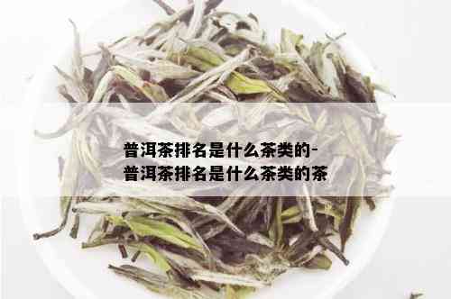 普洱茶排名是什么茶类的-普洱茶排名是什么茶类的茶