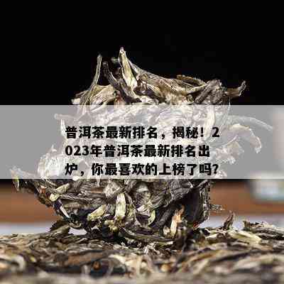 普洱茶最新排名，揭秘！2023年普洱茶最新排名出炉，你最喜欢的上榜了吗？