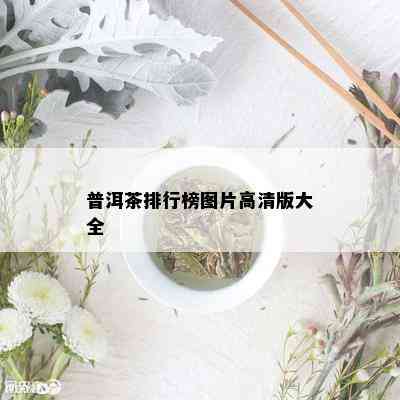 普洱茶排行榜图片高清版大全