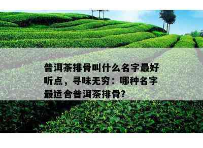 普洱茶排骨叫什么名字更好听点，寻味无穷：哪种名字最适合普洱茶排骨？