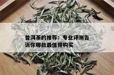 普洱茶的推荐：专业评测告诉你哪款最值得购买