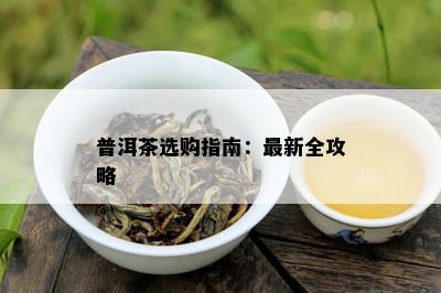 普洱茶选购指南：最新全攻略