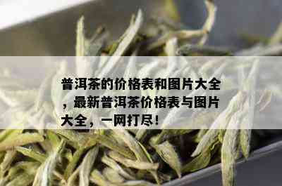 普洱茶的价格表和图片大全，最新普洱茶价格表与图片大全，一网打尽！