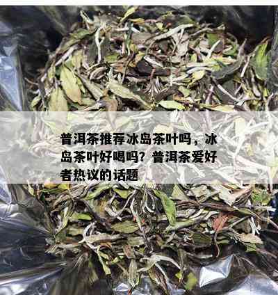 普洱茶推荐冰岛茶叶吗，冰岛茶叶好喝吗？普洱茶爱好者热议的话题