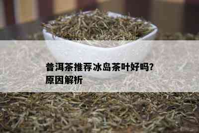 普洱茶推荐冰岛茶叶好吗？原因解析