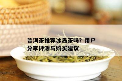 普洱茶推荐冰岛茶吗？用户分享评测与购买建议