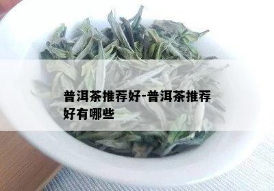 普洱茶推荐好-普洱茶推荐好有哪些