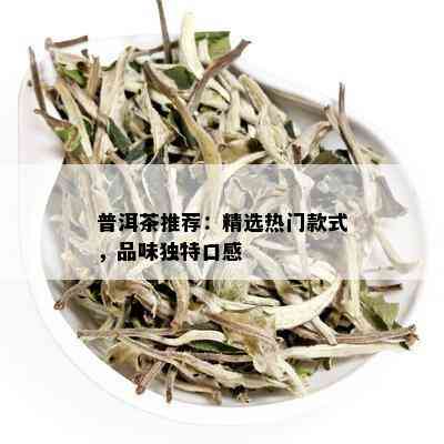 普洱茶推荐：精选热门款式，品味独特口感