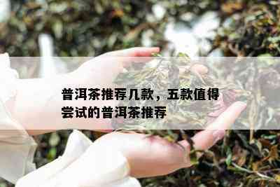 普洱茶推荐几款，五款值得尝试的普洱茶推荐