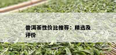 普洱茶性价比推荐：精选及评价