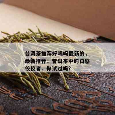 普洱茶推荐好喝吗最新的，最新推荐：普洱茶中的口感佼佼者，你试过吗？