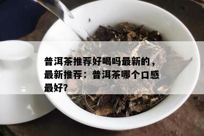 普洱茶推荐好喝吗最新的，最新推荐：普洱茶哪个口感更好？