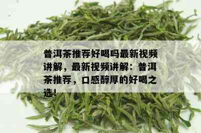 普洱茶推荐好喝吗最新视频讲解，最新视频讲解：普洱茶推荐，口感醇厚的好喝之选！