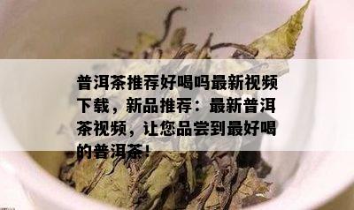 普洱茶推荐好喝吗最新视频下载，新品推荐：最新普洱茶视频，让您品尝到更好喝的普洱茶！