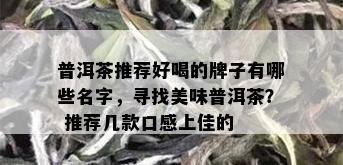 普洱茶推荐好喝的牌子有哪些名字，寻找美味普洱茶？ 推荐几款口感上佳的