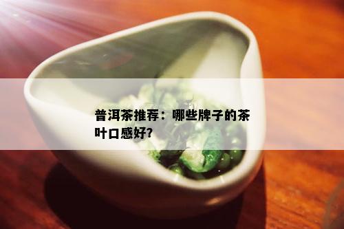 普洱茶推荐：哪些牌子的茶叶口感好？