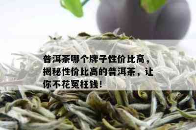 普洱茶哪个牌子性价比高，揭秘性价比高的普洱茶，让你不花冤枉钱！