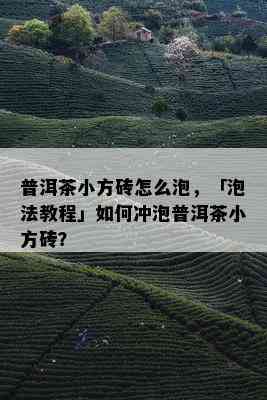 普洱茶小方砖怎么泡，「泡法教程」如何冲泡普洱茶小方砖？