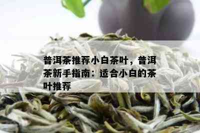 普洱茶推荐小白茶叶，普洱茶新手指南：适合小白的茶叶推荐