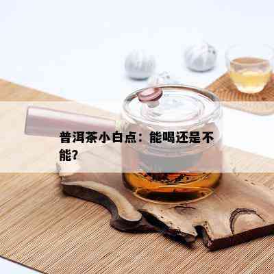 普洱茶小白点：能喝还是不能？