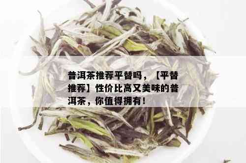 普洱茶推荐平替吗，【平替推荐】性价比高又美味的普洱茶，你值得拥有！