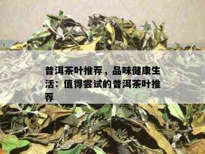 普洱茶叶推荐，品味健康生活：值得尝试的普洱茶叶推荐