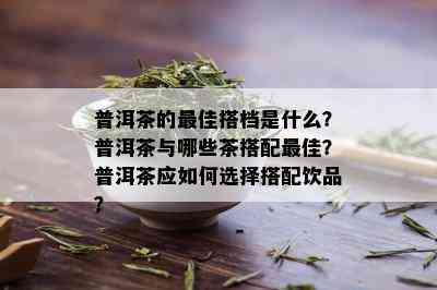 普洱茶的更佳搭档是什么？普洱茶与哪些茶搭配更佳？普洱茶应如何选择搭配饮品？