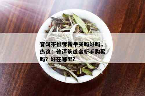 普洱茶推荐新手买吗好吗，热议：普洱茶适合新手购买吗？好在哪里？