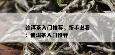 普洱茶入门推荐，新手必看：普洱茶入门推荐