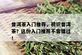 普洱茶入门推荐，初识普洱茶？这份入门推荐不容错过！