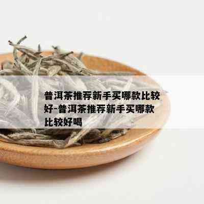 普洱茶推荐新手买哪款比较好-普洱茶推荐新手买哪款比较好喝