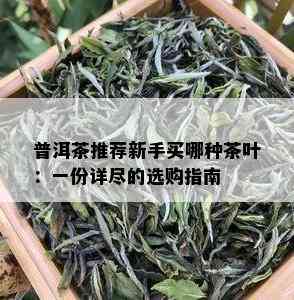 普洱茶推荐新手买哪种茶叶：一份详尽的选购指南