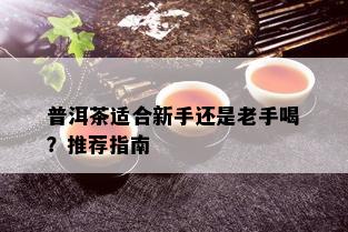 普洱茶适合新手还是老手喝？推荐指南